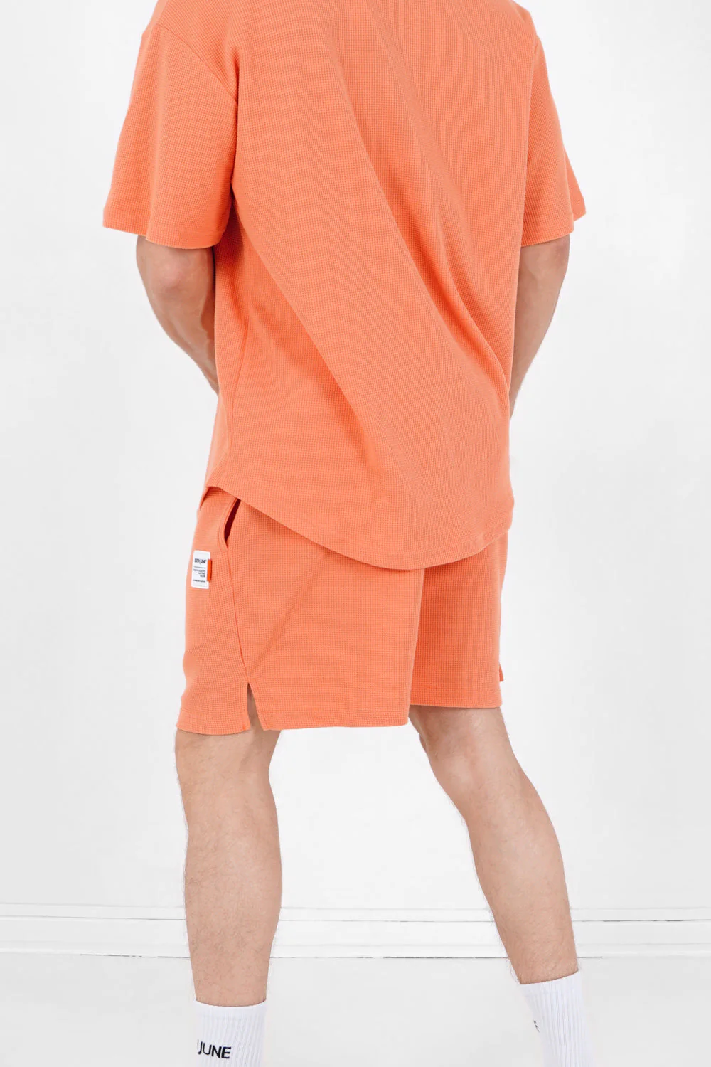 Miniature 5